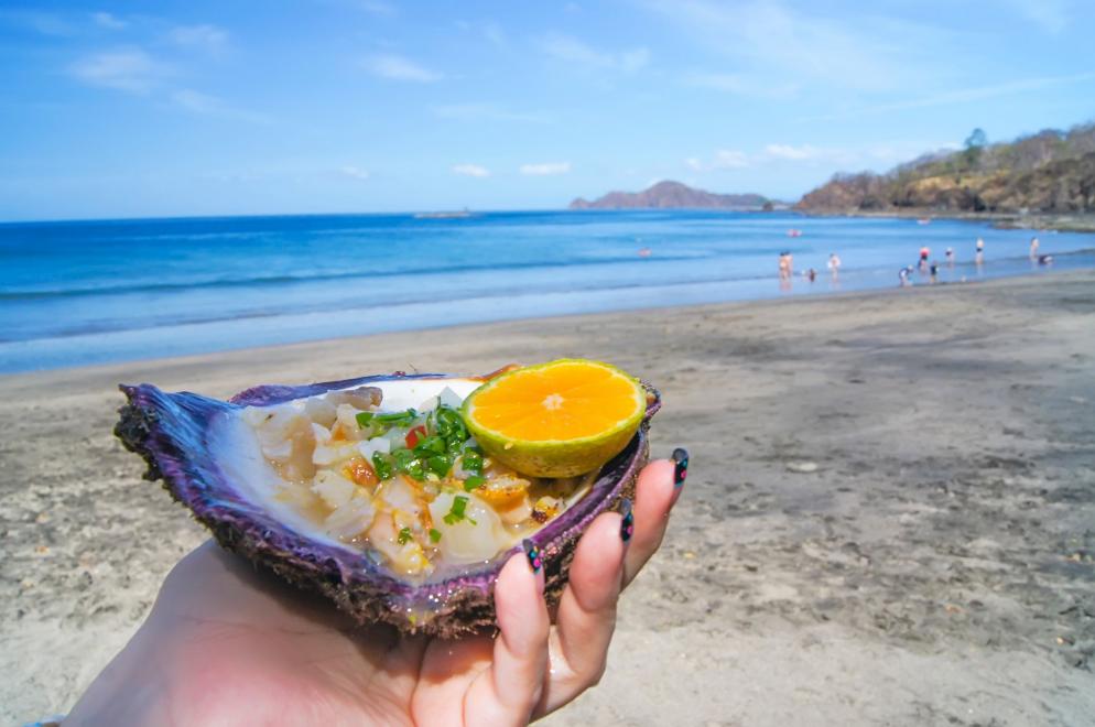 Gerichte Weltweit: Strand - Muschel - Essen - Conch Ceviche