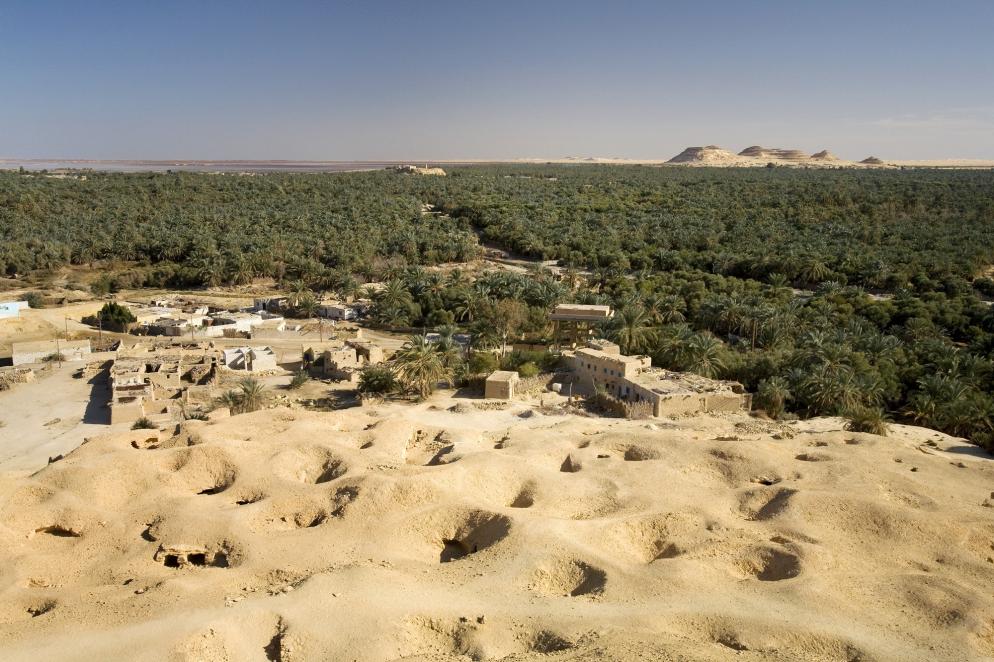 Ägypten: Siwa Oase - Palmen - Wüste