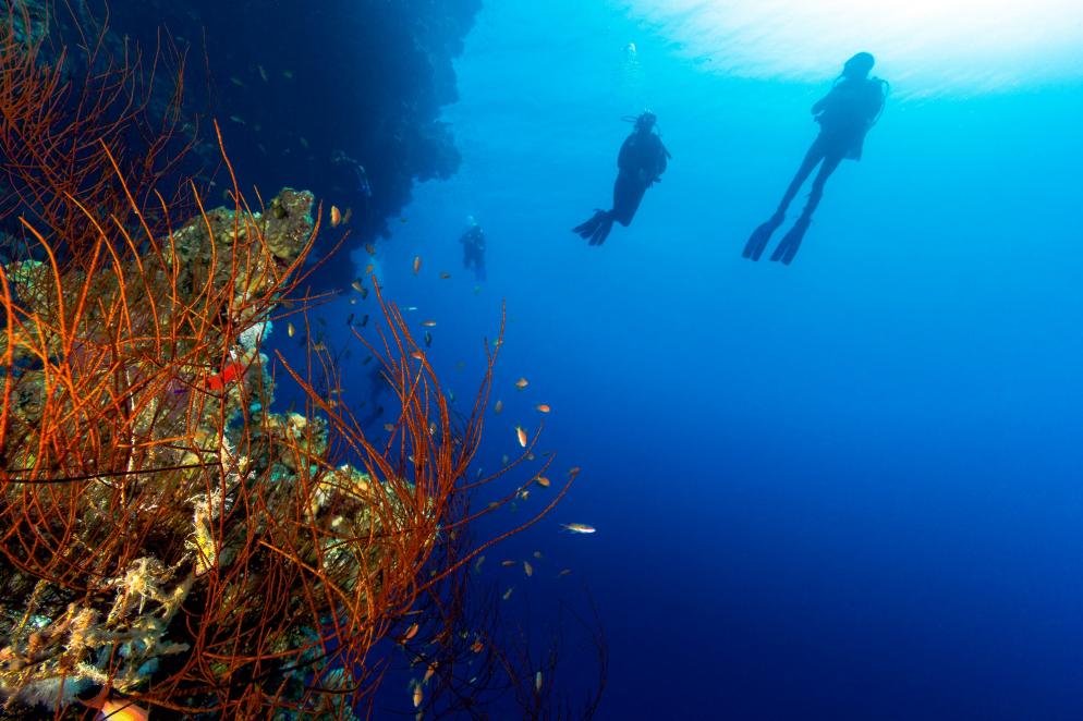Ägypten: Blue Hole - Sinai - Sharm-el-Sheik - Taucher