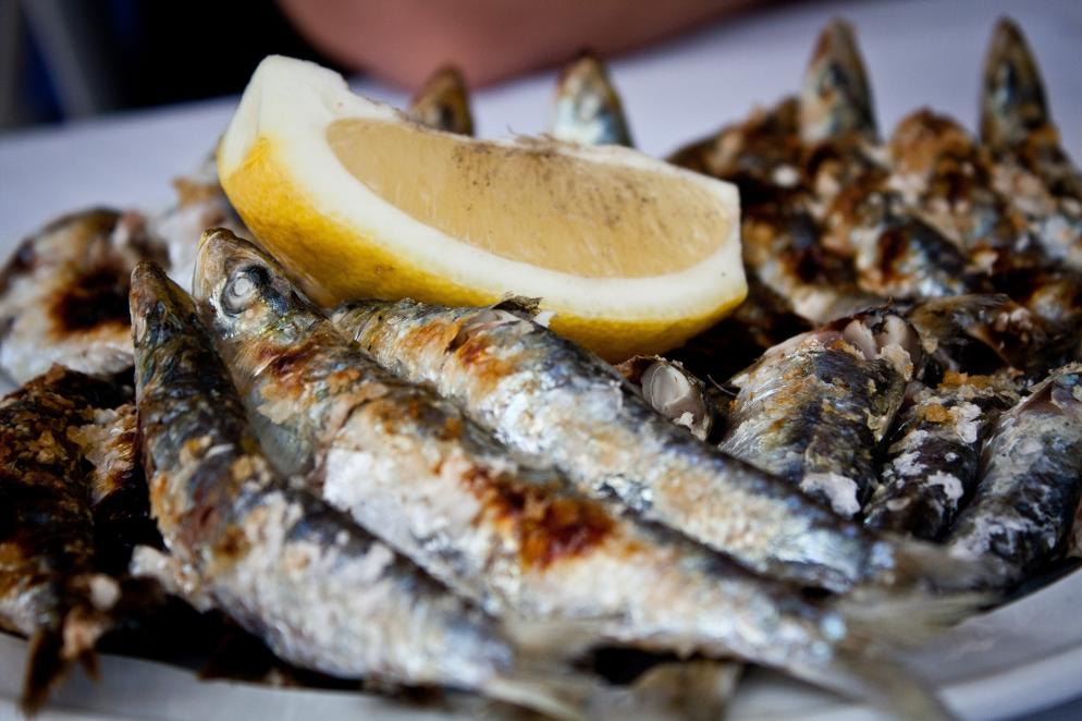 Sonstiges: Essen Sardinen