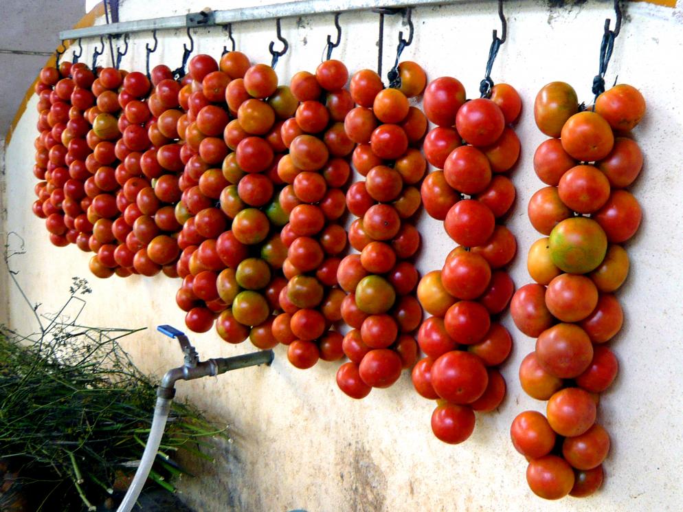Tomaten