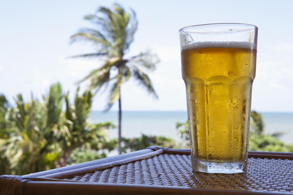 Bier, Palme