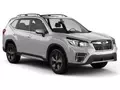 Mittelklasse SUV Subaru Forester Subaru Forester