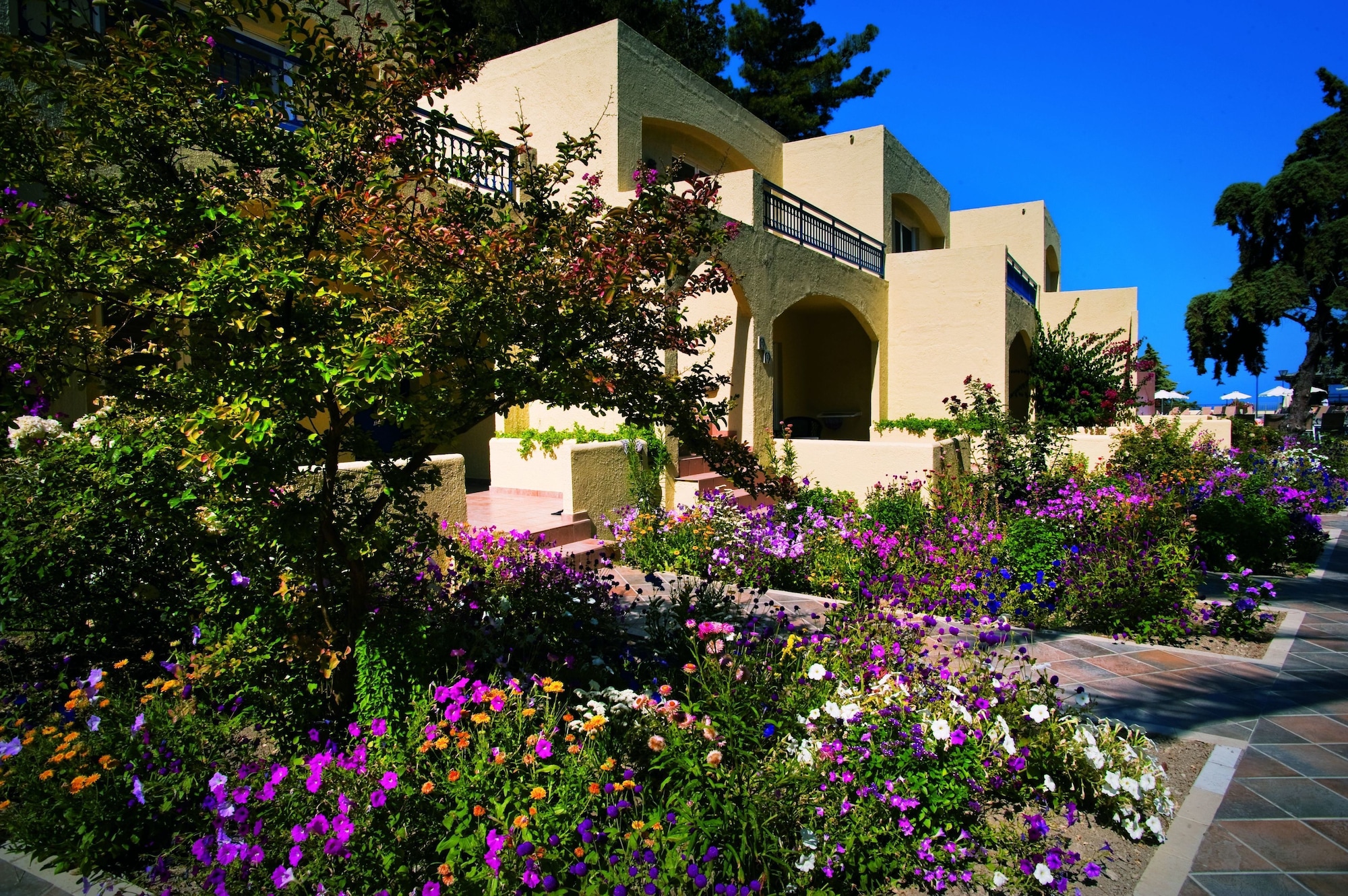 Amathus Beach Hotel & Elite Suites - Amathus Beach Hotel ...