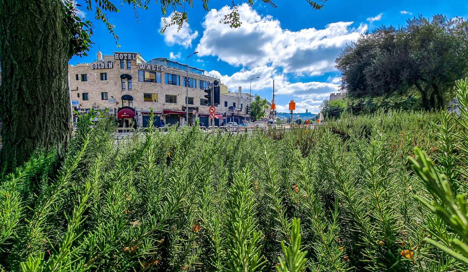 The Golden Walls Hotel Jerusalem Israel Inkl Flug Buchen   Picture 